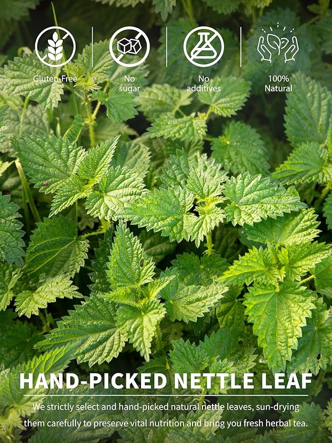 TeeLux Nettle Leaf Tea Bags, Nettle Herbal Tea, Natural Stinging Nettle Tea, Caffeine Free, Mild & Smooth taste, 100 Count - Bloomnest