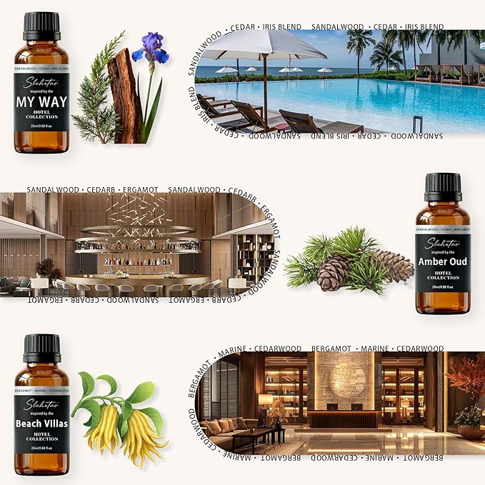 Hotel Diffuser Oil Gift Set – Luxury Hotel Inspired Fragrance Oils for Diffusers, Premium Aromatherapy Home Fragrance, Long Lasting Scent for Bedroom, Spa & Office (Hotel Fragrance Set 20ml*6) - Bloomnest