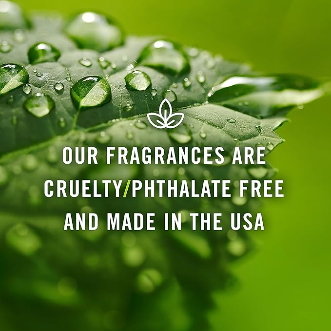 P&J Trading Fragrance Oil for Diffusers for Home - Amber 10ml Fragrance Scents for Candle Making - Soap Making Supplies & Car Diffuser Scents PJTrading