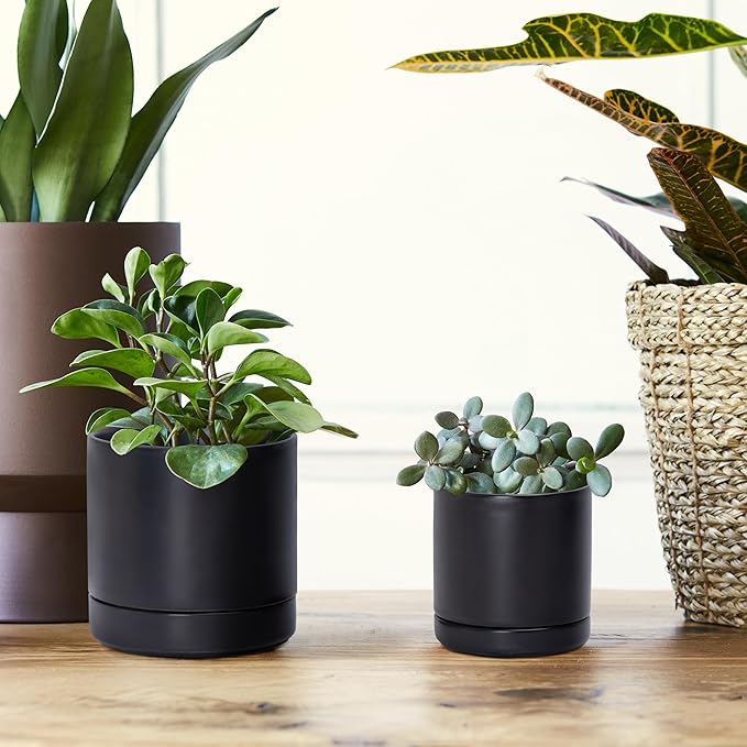 D'vine Dev 3.5 Inch & 4.7 Inch Ceramic Planter Pots for Plants with Drainage Hole and Saucer, X-Small Plant Pots Set, Black, 94-G-XS-2 - Bloomnest