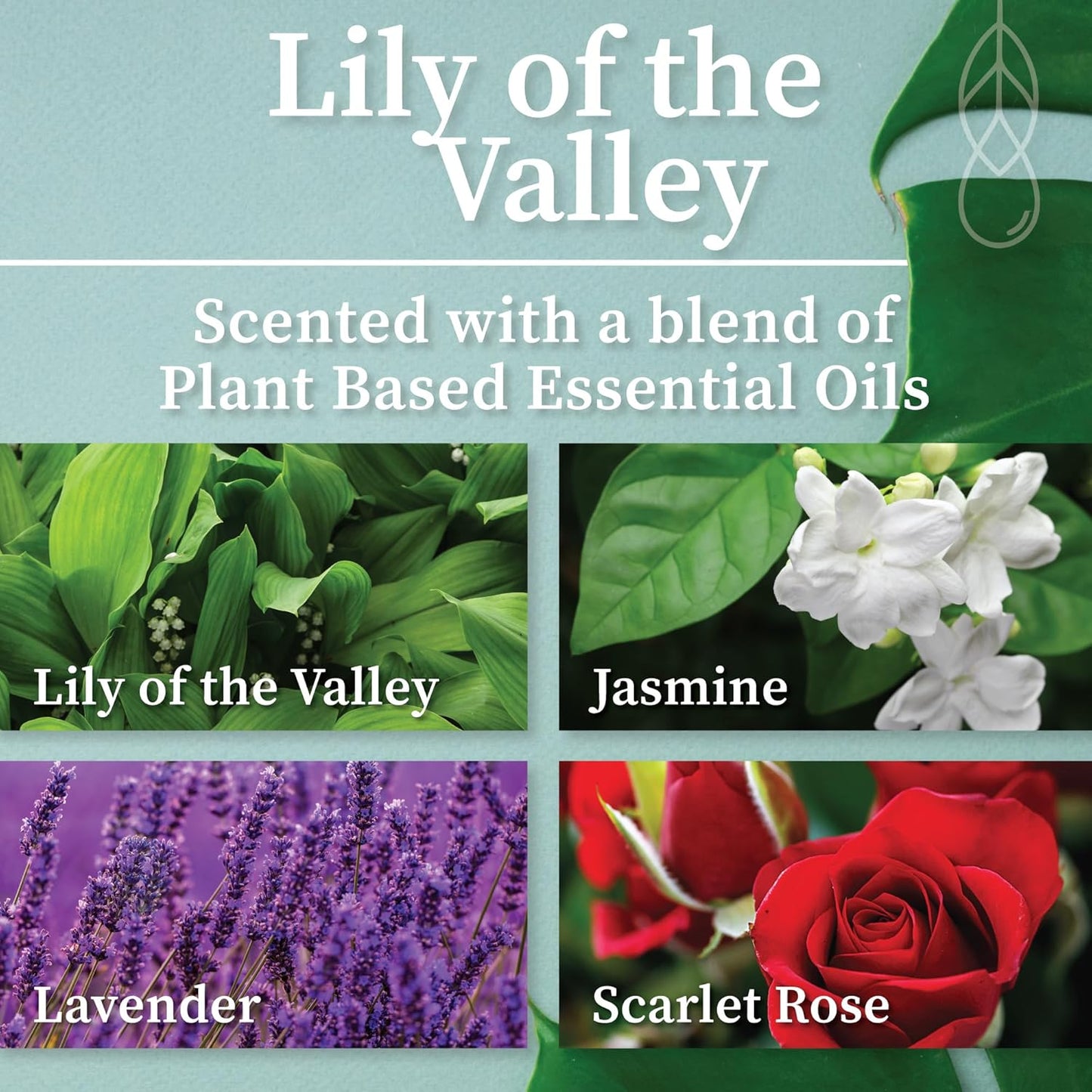 Hemlock Park Crackling Wood Wick Candle Handcrafted with Natural Coconut Wax (Standard 8 oz, Lily of The Valley)