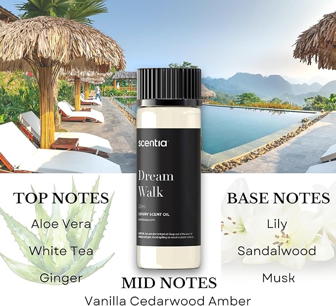 Scentia Hotel Inspired Collection Diffuser Oils – 3×20ml Aromatherapy Set | Luxury Scents Inspired by 5-Star Hotels | Gift-Ready Essential Oil Blend - Thanksgiving & Holiday Gift - Bloomnest