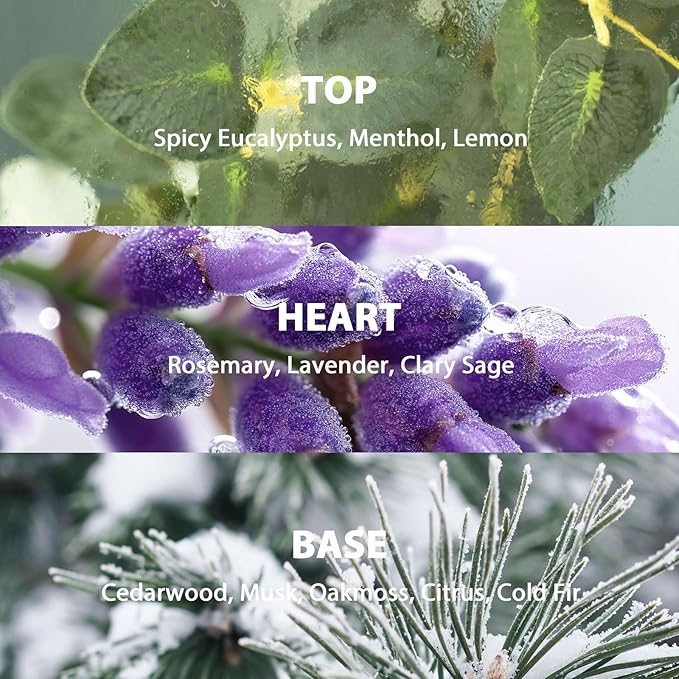 Reed Diffuser Set, 9.85 oz Lavender Eucalyptus Scented Diffuser with Decorative Card Home Fragrance Reed Diffuser for Bathroom Shelf Decor, Ideal Gift for Woman