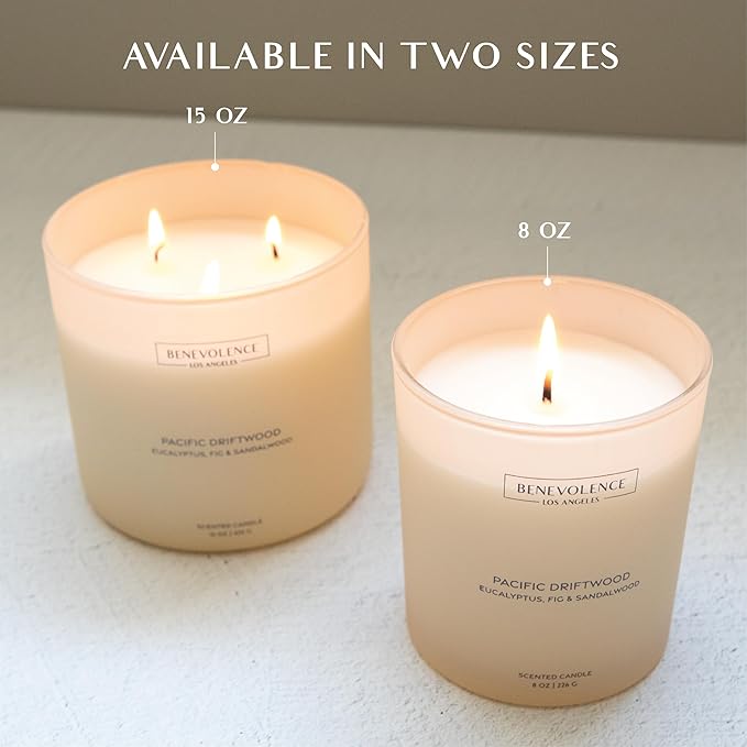 Eucalyptus, Fig & Sandalwood – Benevolence LA Fall Scented Candle for Home | 8oz, 45-Hour Burn | Natural Soy Wax, Cotton Wick | Fresh Autumn Fragrance | Malibu Sands Collection – Gift for Women & Men - Bloomnest