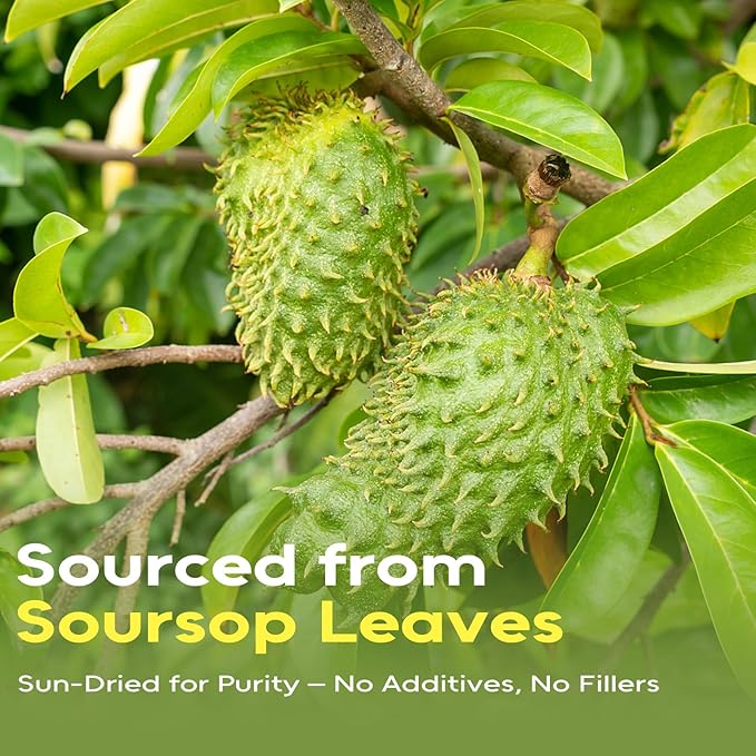 FullChea - Soursop Leaves Tea Bags, 80 Counts - Premium Hojas De Guanabana Tea - Non-GMO - Caffeine-free - Improve Digestion, Support Skin & Sleep - Bloomnest