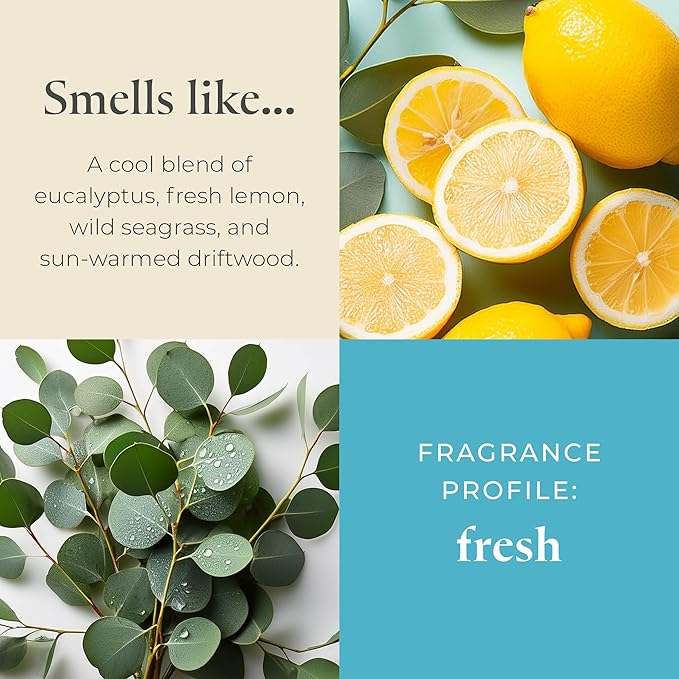 PartyLite Sea Grass Eucalyptus Scented, Notes of Eucalyptus, Lemon, Seagrass & Driftwood, 13.2oz 3-Wick Jar Candle, 45 Hour Burn Time, Luxurious Fragrance, Ideal for Gifting - Bloomnest