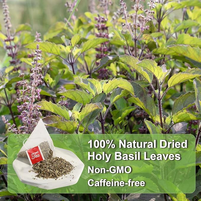 FullChea - Holy Basil Tea Bags, 40 Tulsi Teabags, 2g/bag - Premium Holy Basil Leaves - Non-GMO - Caffeine-free - Support Digestion & Boost Immunity - Bloomnest