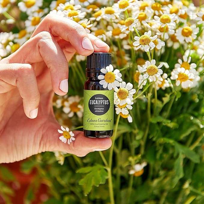 Lemon Eucalyptus 100% Pure Therapeutic Grade Essential Oil - 30 ml - Bloomnest