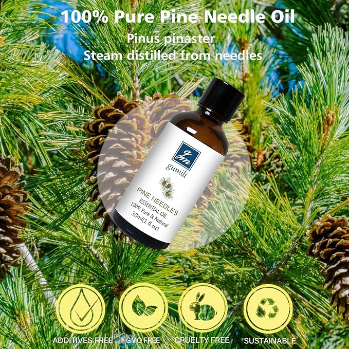 Pine Needle Essential Oil 1 Oz - 100% Pure & Natural Pine Oil for Diffuser, Skin, Massage & Aromatherapy - Fresh Pinus Essential Oils Fragrance - Bloomnest