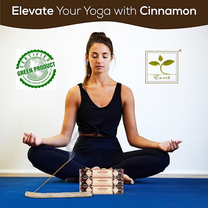 Satya Cinnamon Incense Sticks, Satya Bng (Bangalore) Insenses 15gmx3 Pack with Raajsee Incense Holder Bundle, Satya Nagchampa Natural Incense - Bloomnest