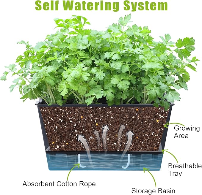 Window Box Planter 6 Pcs, 12.1 Inches Self Watering Plant Pots Rectangle Flower Pots with Drainage Holes and Breathable Trays, Vegetable Planters for Windowsill Patio Garden Balcony Porch Yard (Black) - Bloomnest