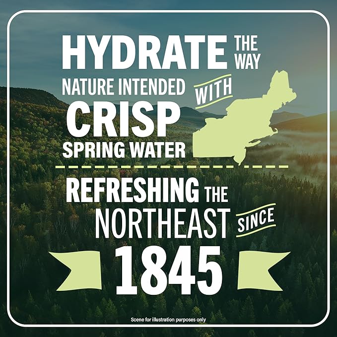 Poland Spring Maine Spring Water Aluminum Bottle – Crisp, Still Bottled Water with Naturally Occurring Minerals & Electrolytes for Taste - 12 Pack- 25 fl oz - Bloomnest