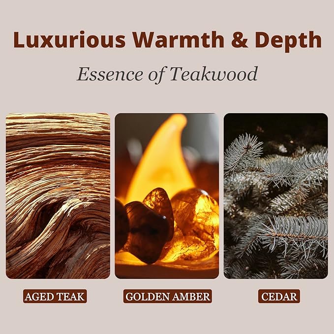 Car Air Freshener - Stone Air Freshener - Car Odor Eliminator for Visor Clip- Natural Scent Starter Kit, Vehicle Scent Diffuser for Cabin, Truck & SUV (Teak) - Bloomnest