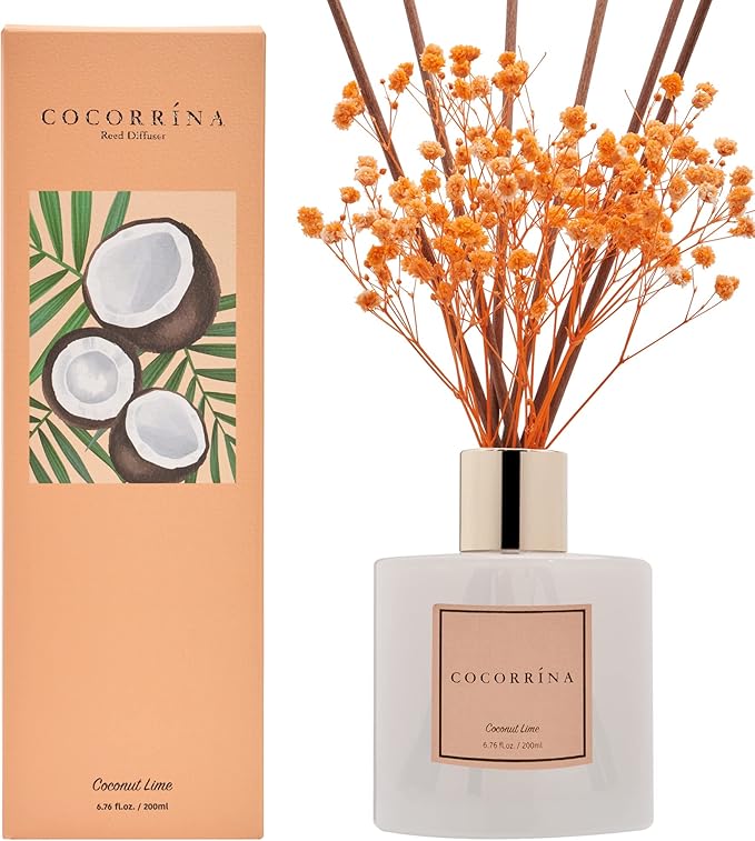 Cocorrína Premium Reed Diffuser Set with Preserved Baby's Breath & Cotton Stick Coconut Lime | 6.7oz Scent Fragrance Oil Diffuser for Bedroom Bathroom Home Décor - Bloomnest
