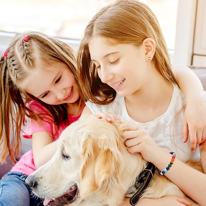 TONY & SANDY Dog Memorial Gifts, Pet Sympathy Rainbow Bridge Pet Memorial Bracelet for Men Women Girls Who Loss of Beloved Dog Cat - Bloomnest