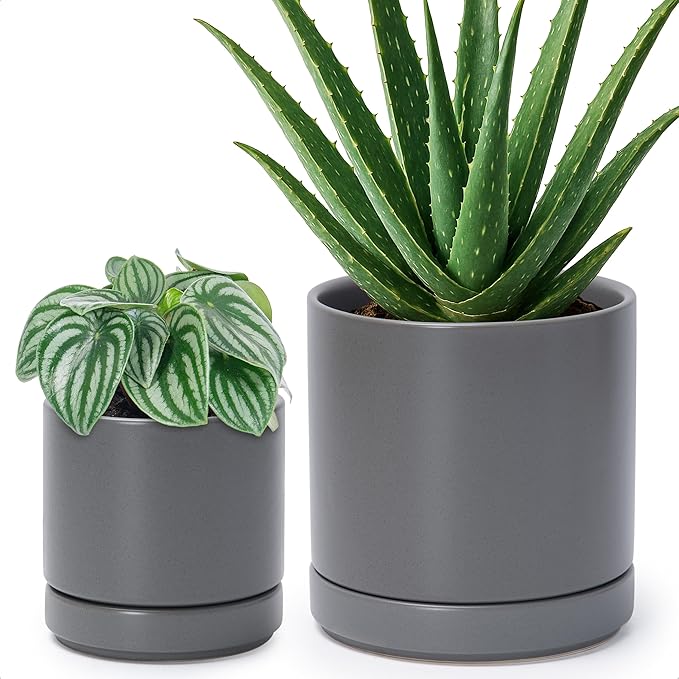 D'vine Dev 4.7 Inch & 6.5 Inch Ceramic Planter Pots for Plants with Drainage Hole and Saucer, Small Plant Pots Set, Speckled Grey, 94-G-S-3 - Bloomnest