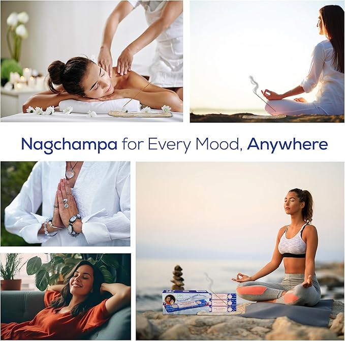 Satya Nagchampa Incense Sticks, Satya Bng (Bangalore) Insenses 15gmx12 Pack with Raajsee Incense Holder Bundle, Satya Nagchampa Natural Incense - Bloomnest