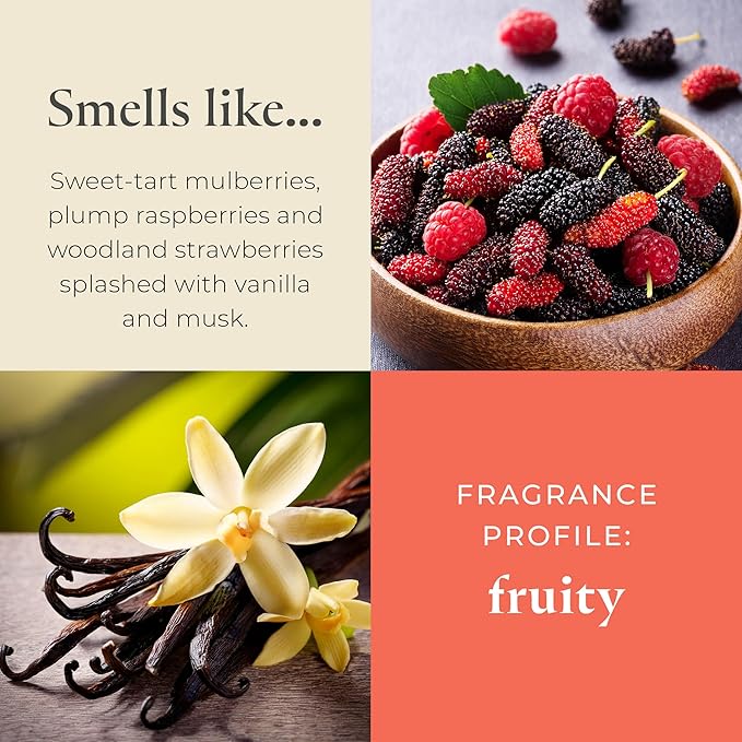 PartyLite Mulberry Scented, Notes of Tart Black Currant, Sweet Blackberry, Juicy Mulberry & Jewels of Pomegranate, 13.2oz 3-Wick Jar Candle, 45 Hour Burn Time, Luxurious Fragrance, Perfect for Gifting - Bloomnest