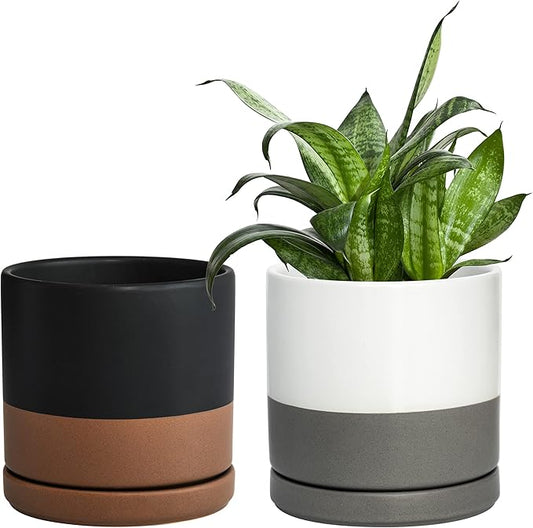 D'vine Dev Set of 2 Plants Pots, 6 Inch Ceramic Planter Pot for Plants with Drainage Hole and Saucer, White-Grey/Black-Tan, 94-V-C-C - Bloomnest