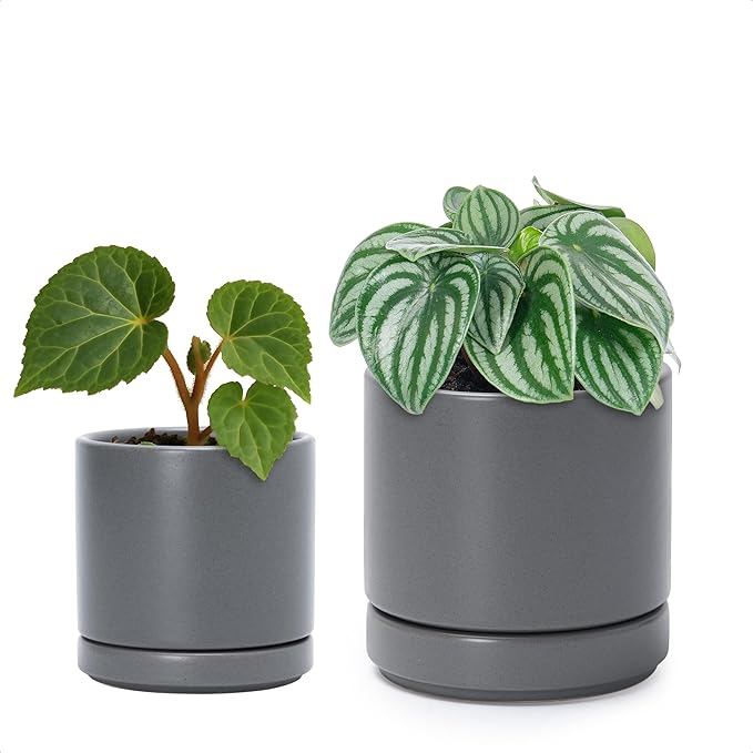 D'vine Dev 3.5 Inch & 4.7 Inch Ceramic Planter Pots for Plants with Drainage Hole and Saucer, X-Small Plant Pots Set, Speckled Grey, 94-G-XS-3 - Bloomnest