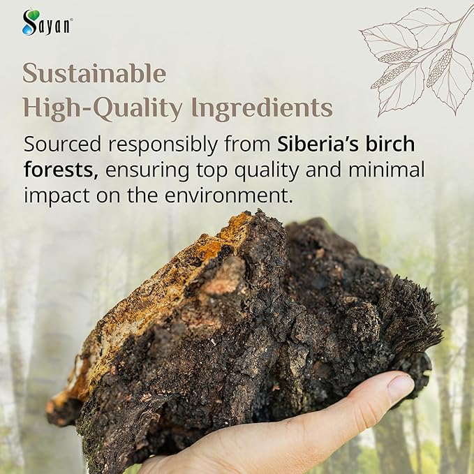 Sayan Siberian Chaga Mushroom Tea 1.05 Oz / 30g – 20 Unbleached Bags, Wild Harvested Organic Antioxidant No Caffeine. Raw and Extract Blend. Immune, Digestion Support. Detox, Focus Energy Boost - Bloomnest