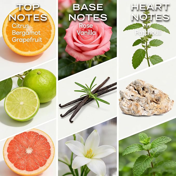 Citrus Luxe Diffuser Oil – Luxury Hotel-Inspired Essential Oils for Diffusers Aromatherapy – Fragrance Oil Blend – Home Essentials for Bedroom, Living Room & Bathroom – 30ml - Bloomnest