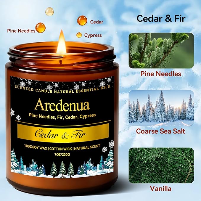 Winter Candles – Cedar & Fir Scented Candle | 7oz Soy Candles for Home Scented with 50H Burn - Evergreen Pine Christmas Candle for Home | Winter Aromatherapy Gifts for Women Men - Bloomnest