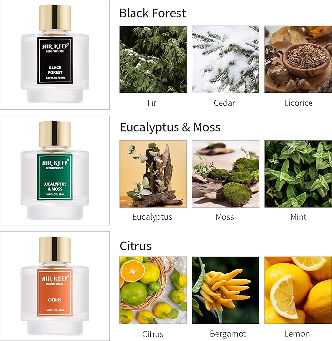 Airkeep Reed Diffuser Set of 3, Black Forest Eucalyptus Moss Citrus Oil Reed Diffusers for Bedroom Living Room Office Aromatherapy Oil Reed Diffuser for Gift 50ml - Bloomnest