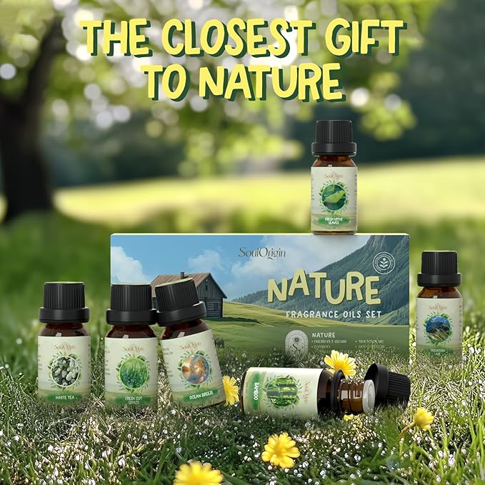 Nature Fragrance Oils Set, Essential Oil Gift Set for Diffuser, Natural Scent Diffuser Oil for Candle Making-Fresh Cut Grass, Mountain Air, Bamboo, Ocean Breeze, Fresh Lotus Leaf, White Tea - Bloomnest