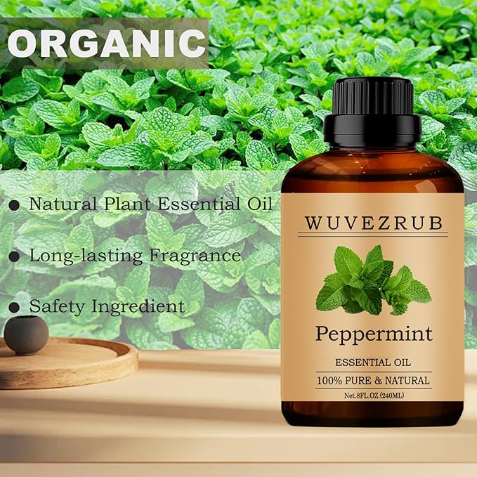 Peppermint Essential Oils, 240ML Pure and Natural Essential Oil for Aromatherapy Diffuser - Peppermint /8 Fl Oz - Bloomnest