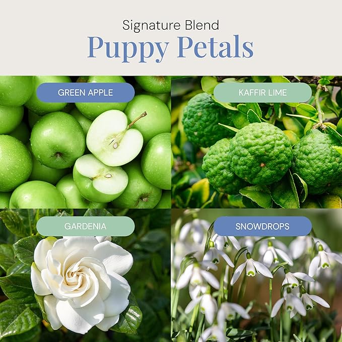 Air Esscentials Puppy Petals Aroma Oil - Pet-Preferred Pure Essential Oil for Scent Machines & Cold-Air Diffusers | Crisp Apple & Zesty Lime | Floral Light & Airy Musk | Safe for Pets | 300mL - Bloomnest