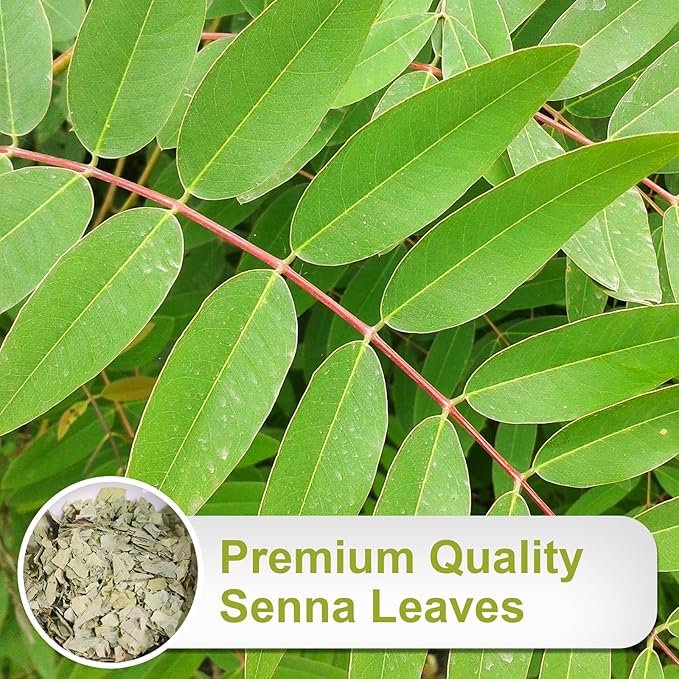TEARELAE - Senna Tea - 1.5g x 64 Count Senna Leaves Tea Bags - Premium Indian Senna Leaves - Relieve Constipation, Aid in Digestion - Caffeine-Free, Non-GMO - Bloomnest