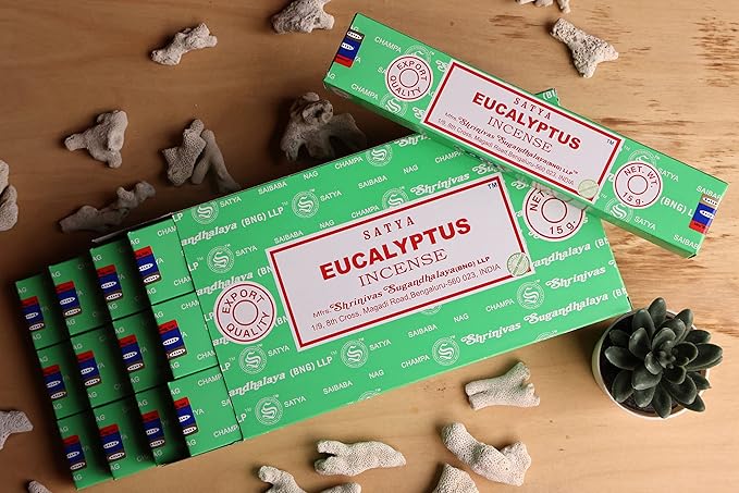 EARTH Satya Eucalyptus Incense Sticks 15 GMS (Pack of 12) (Green Certified) Indian Perfumed Hand Rolled Agarbatti Perfect for Worship,Relaxation, Medication. Earth