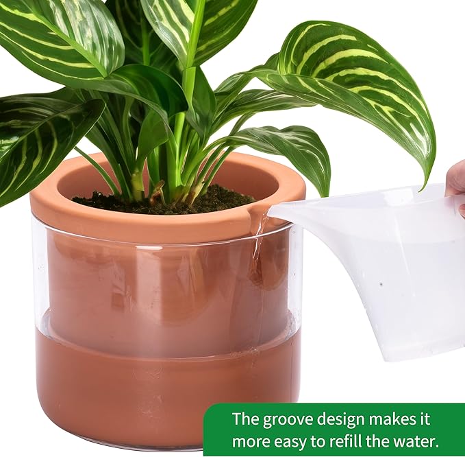 Phoenix Vine 8 Inch Self Watering Planter Pots, Design White Terracotta Pots for Plants, Indoor Cylinder Terra Cotta Pots with Glass Vase, Set of 1, 51-A-H-1 - Bloomnest