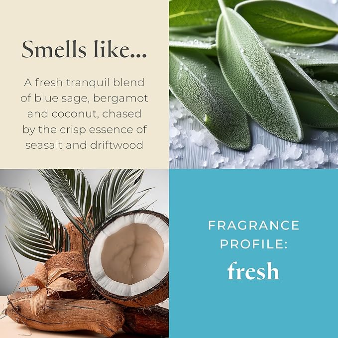 PartyLite Sea Salt & Sage Scented, Notes of Salted Air, Sea-Soaked Sage, Driftwood, Coconut and Sandalwood, 13.2oz 3-Wick Jar Candle, 45 Hour Burn Time, Luxurious Fragrance, Perfect for Gifting - Bloomnest