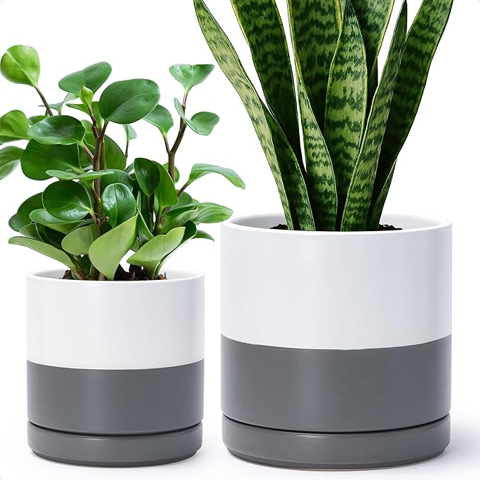 D'vine Dev 6.5 Inch & 8.2 Inch Ceramic Planter Pots for Plants with Drainage Hole and Saucer, Medium Plant Pots Set, White/Speckled Grey, 94-G-M-6 - Bloomnest