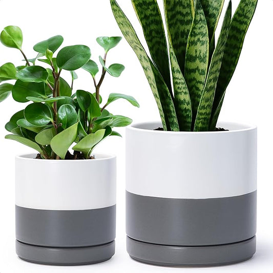 D'vine Dev 6.5 Inch & 8.2 Inch Ceramic Planter Pots for Plants with Drainage Hole and Saucer, Medium Plant Pots Set, White/Speckled Grey, 94-G-M-6 - Bloomnest