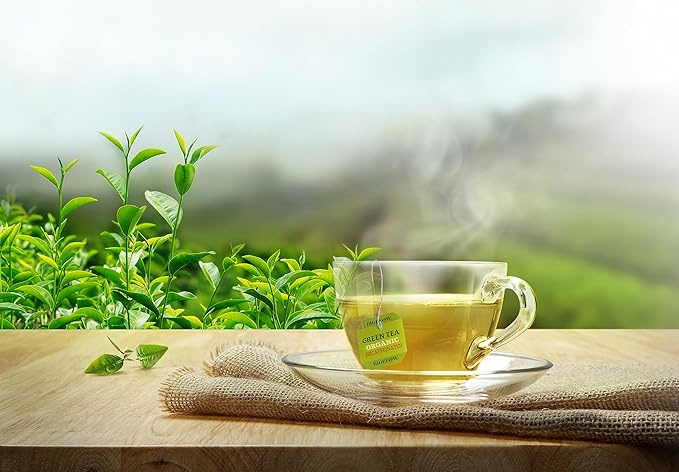 Bigelow Tea Organic Decaffeinated Green Tea, Decaf Organic Green Tea Bags, 40 Count Box (Pack of 6), 240 Total Tea Bags - Bloomnest