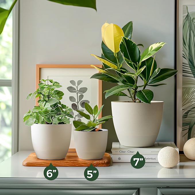 T4U 6 Inch Self Watering Planters Plastic Plant Pot, Modern Decorative Flower Pot/Window Box for All House Plants, Flowers, Herbs, African Violets, Succulents - White, Set of 6 - Bloomnest