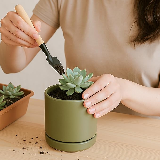 D'vine Dev Set of 4 Small Ceramic Plant Pots, 3.5 Inch Succulent Planter Pot for Plants with Drainage Hole and Saucer, Olive, 94-X-A-0 - Bloomnest