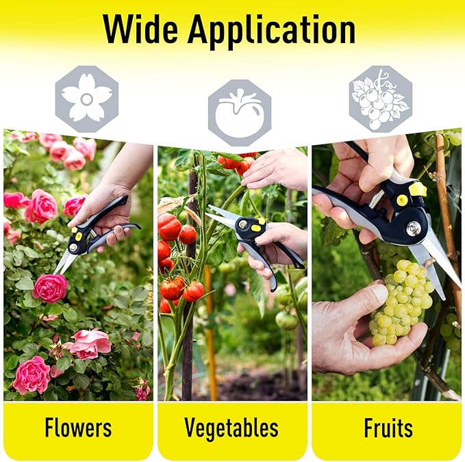 Jardineer Pruning Shears for Gardening, 3Pack Stainless Steel Garden Shears Set include Bypass Hand Pruner, Anvil Pruning Scissor, Pruning Snips for Flowers, Herbs and Small Branches - Bloomnest