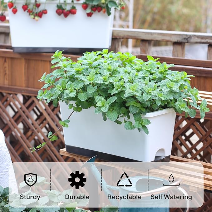 Window Box Planter 6 Pcs, 17 Inches Rectangle Flower Pots with Drainage Holes and Trays, Vegetable Planters for Windowsill Patio Garden Balcony Home Porch Yard Indoor Outdoor (Grey, 17*7.4*7.8 inch) - Bloomnest