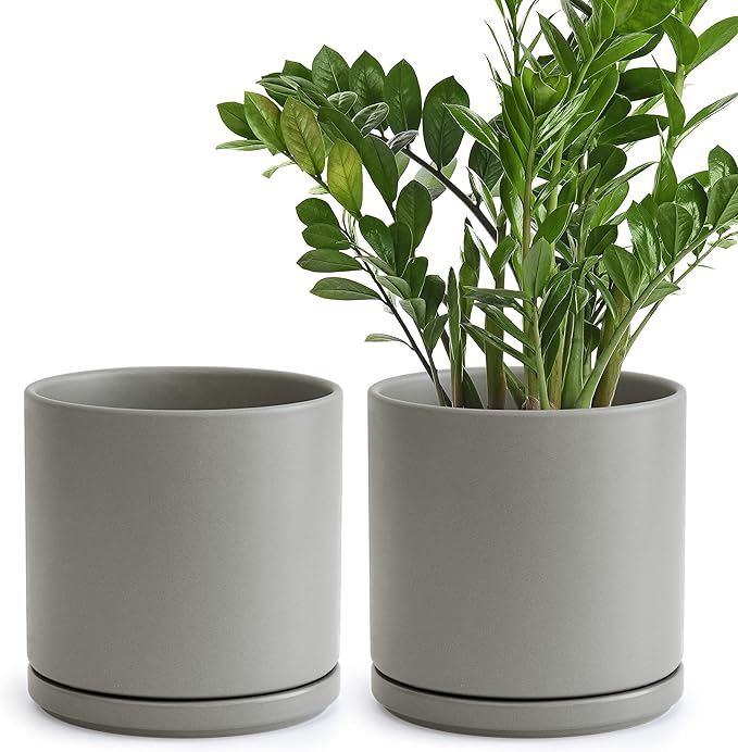 Set of 2 Plants Pots, 8 Inch Ceramic Planter Pot for Plants with Drainage Hole and Saucer, Speckled Grey, 94-V-D-3 - Bloomnest