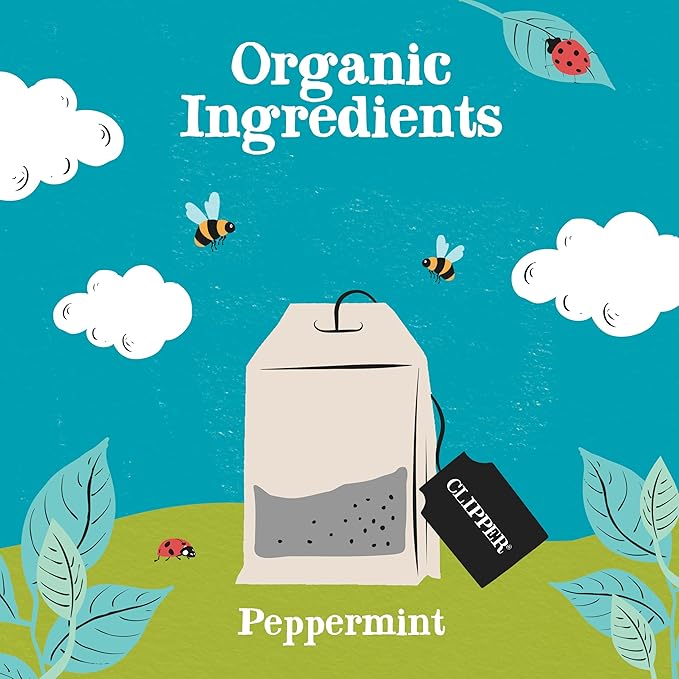 Clipper Tea Peppermint Teabags – Caffeine Free, USDA Organic, Great Hot or Iced – Sweet, Refreshing, Natural, Fair & Delicious Sweet – 250 Tea Bags