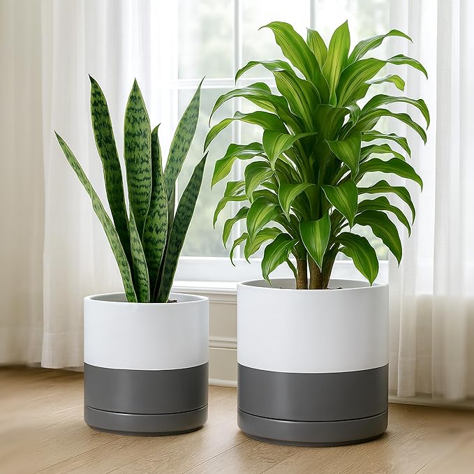 D'vine Dev 8.2 Inch & 10 Inch Ceramic Planter Pot for Plants with Drainage Hole and Saucer, Large Plant Pots Set, White/Speckled Grey, 94-G-L-6 - Bloomnest