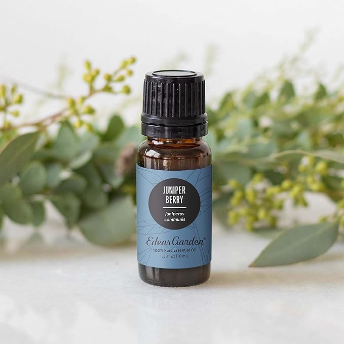 Edens Garden Juniper Berry Essential Oil- 100% Pure Premium Grade, Undiluted, Natural, Therapeutic, Aromatherapy, The Best for Diffuser, Candle, Hair, Kid Safe 30 ml (1 fl oz) - Bloomnest