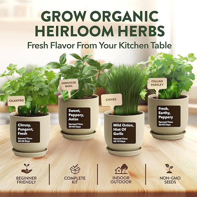 HOME GROWN Organic Herb Garden Kit – 4 Herb Seeds, Soil, Pots, Tools & Grow Guide – Grow Basil, Parsley, Cilantro & Thyme Indoors – USDA Organic, Non-GMO, Ideal Gift for Christmas & Thanksgiving