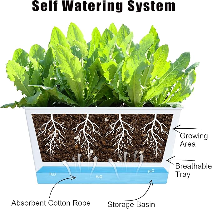 Window Box Planter 6 Pcs, 12.1 Inches Self Watering Plant Pots Rectangle Flower Pots with Drainage Holes and Breathable Trays, Vegetable Planters for Windowsill Patio Garden Balcony Porch Yard (White) - Bloomnest