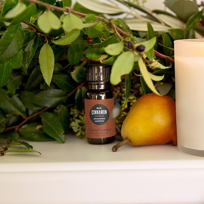 Edens Garden Cinnamon- Bark Essential Oil- 100% Pure Premium Grade, Undiluted, Natural, Therapeutic, Aromatherapy, The Best for Diffuser, Candle, Laundry, Humidifiers 30 ml (1 fl oz) - Bloomnest