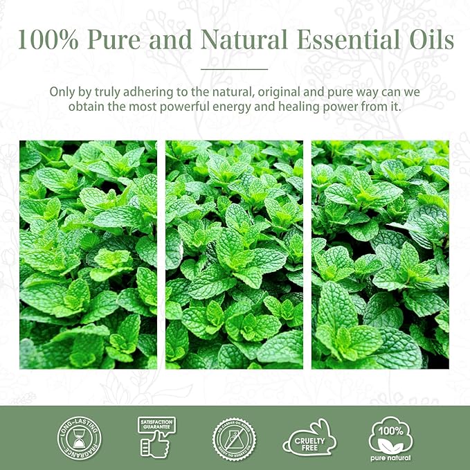 Spearmint 3.38fl.oz Essential Oil, PHATOIL Pure Aromatherapy Oils for Diffuser, Humidifier, Perfect for DIY Soap, Candle, Bath Bombs Making(100ml) PHATOIL